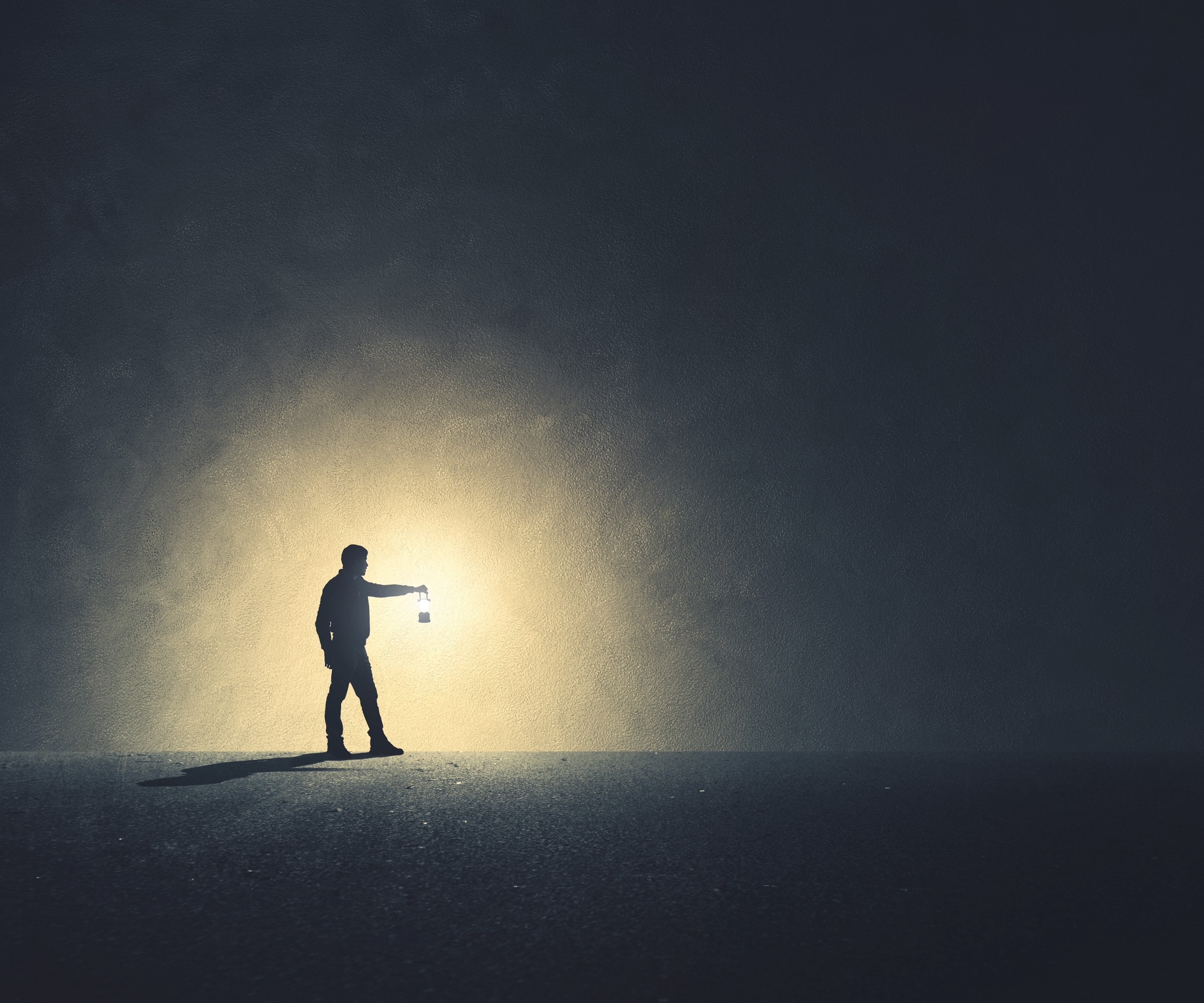 No society can understand itself without looking at its shadow side